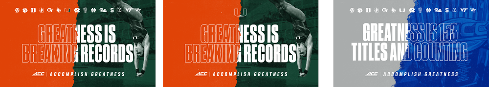 ACC project artwork 1